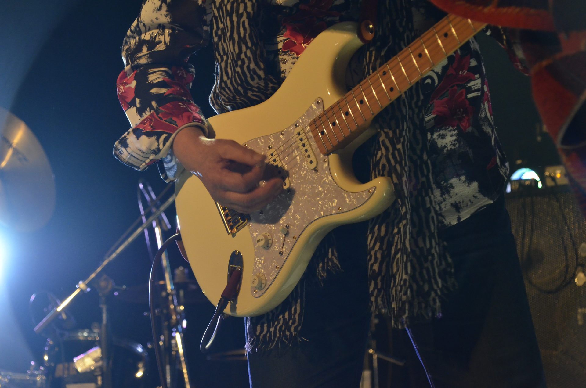 2024.11.23‗DOG DAYS 夢の島 2024